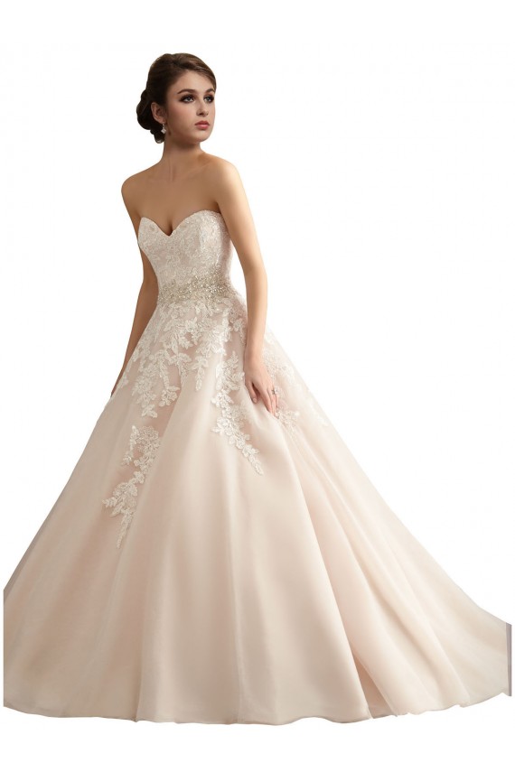 Ivoire & Champagne Princesse Col V Traîne cathédrale Tulle Dentelle Robes de mariée Pas Cher
