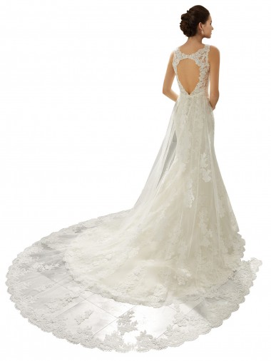 Ivoire & Champagne Sirène Col V Tulle Dentelle Robes de mariée