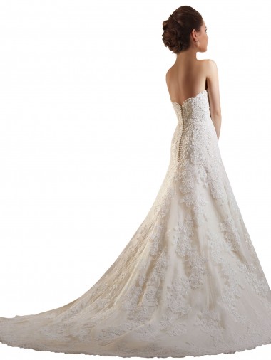 Ivoire & Champagne Trapèze Tulle Dentelle Robes de mariée